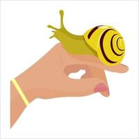 Snail sitting on a hand. Snail as a pet concept. Vector illustration in a cartoon style.