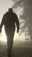 Figure walks on path in hazy sun light video