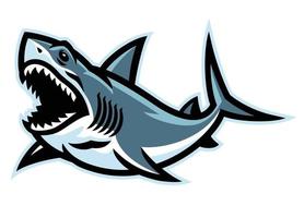 Angry Shark Logo Mascot vector