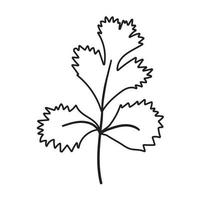 leaves of cilantro doodle flat illustration on white background. Vector graphics design