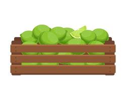 Wooden box with green limes. Healthy food, fruits, agriculture illustration, vector