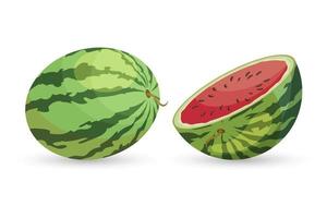 Watermelon set, whole and cut watermelon isolated on white background. Fruit illustration, vector