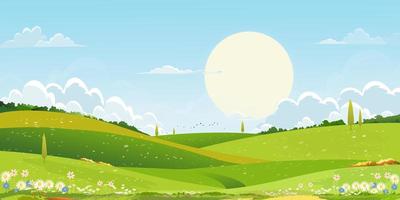 Spring green fields landscape with sun over mountain,blue sky and clouds background,Panorama rural natural in springtime with green grass land. Cartoon vector illustration for spring and summer banner