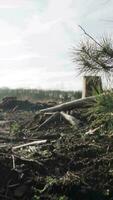 toneel- visie van natuurlijk Oppervlakte net zo zon schijnt video