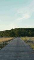 Wooden path in open field in daylight video