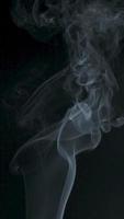 Slow motion vertical video of white smoke, fog, mist, vapor on a black background.