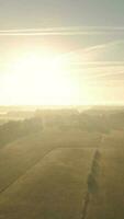 Hazy morning light over green rural landscape video