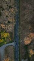 Aerial view of a road winding through a scenic landscape video