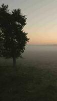 Aerial view of hazy morning light over green rural landscape video