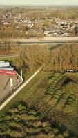 Antenne Aussicht von szenisch Grün Landschaft video