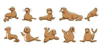 Sea lion vector set collection graphic clipart design