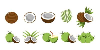 Coconut vector set collection graphic clipart design