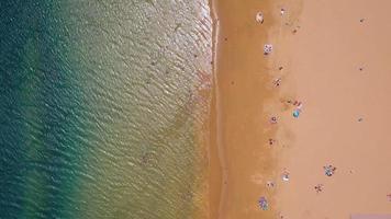 aereo Visualizza di il d'oro sabbia, palma alberi, sole lettini, irriconoscibile persone su il spiaggia las teresita, tenerife, canarini, Spagna video