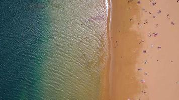 aereo Visualizza di il d'oro sabbia, palma alberi, sole lettini, irriconoscibile persone su il spiaggia las teresita, tenerife, canarini, Spagna video