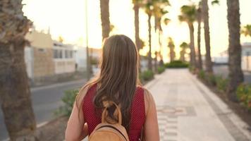 Photographer tourist woman taking photos with camera in a beautiful tropical landscape at sunset video