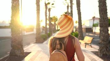 photographe touristique femme prise Photos avec caméra dans une magnifique tropical paysage à le coucher du soleil video