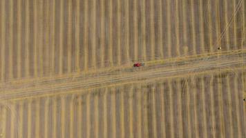 Aerial view of haymaking processed into round bales. Red tractor works in the field video