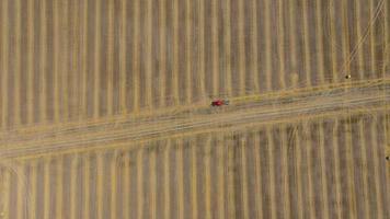 Aerial view of haymaking processed into round bales. Red tractor works in the field video