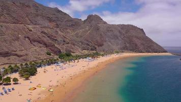 Aerial view of the golden sand, palm trees, sun loungers, unrecognizable people on the beach Las Teresitas, Tenerife, Canaries, Spain video