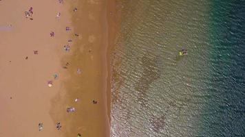 Aerial view of the golden sand, palm trees, sun loungers, unrecognizable people on the beach Las Teresitas, Tenerife, Canaries, Spain video