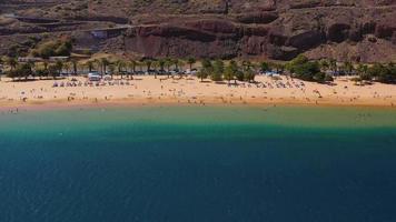 Aerial view of the golden sand, palm trees, sun loungers, unrecognizable people on the beach Las Teresitas, Tenerife, Canaries, Spain video