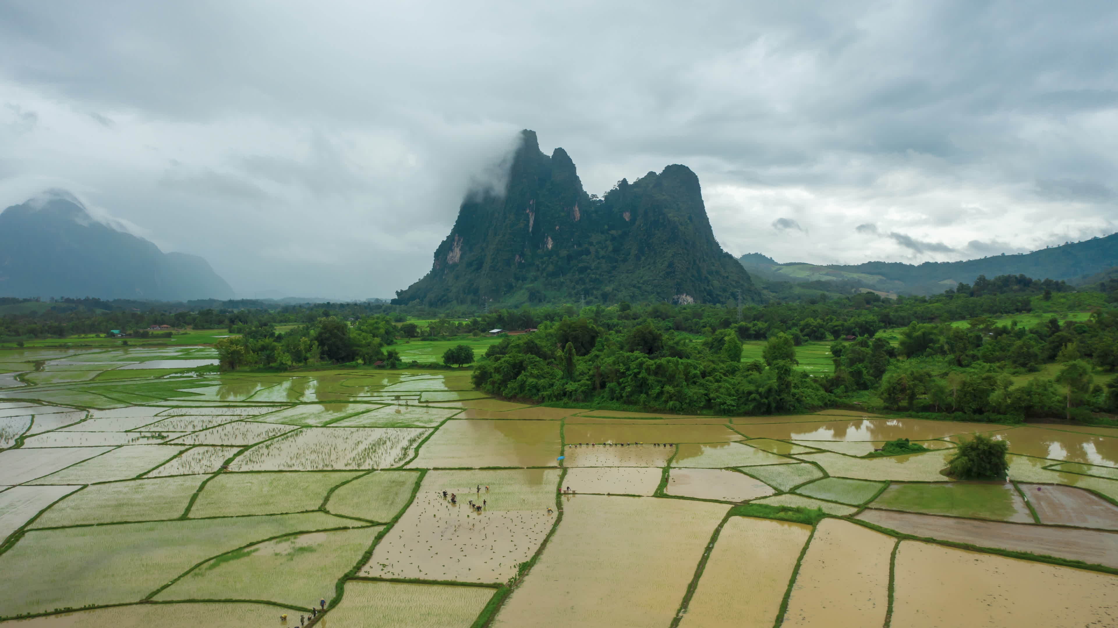 Aerial View Hyper Lapse Of Rice Field In Muang Fuang Laos 23158033 aerial-view-hyper-lapse-of-rice-field-in-muang-fuang-laos-23158033