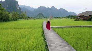 4k Video shot aerial view by drone. Wooden path and green rice field in Vang Vieng, Laos.