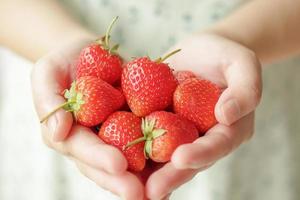 mujer manos participación Fresco rojo fresas cerca arriba foto