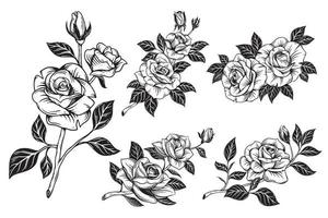 Clásico hermosa flores Rosa elementos flores ramo de flores vástago para tatuaje mano dibujado estilo vector