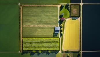 , Farm landscape, agricultural wheat fields, beautiful countryside, country road. Nature Illustration, photorealistic top view drone, horizontal banner. photo