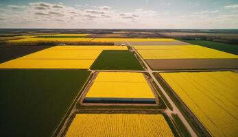 , Farm landscape, agricultural wheat fields, beautiful countryside, country road. Nature Illustration, photorealistic top view drone, horizontal banner. photo