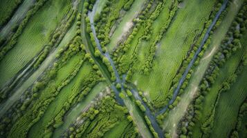 generativo ai, campo de verde césped con agua rociado, aéreo ver zumbido fotografía. pantano paisaje. foto