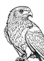 Bald Eagle - Black and White Vector illustration mandala for vinyl cutting.