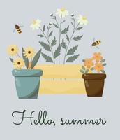 vector summer card with flowers pots and garden flowers