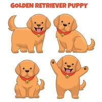 set of golden retriever puppy dog vector