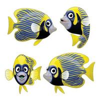 Cartoon Set of Emperor Anglefish in various pose vector