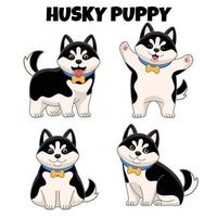 set of cute husky puppy dog vector