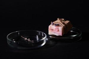 Details on a bar of pink marble soap on petri dish with dry lavender flowers over isolated black background. Skin care photo
