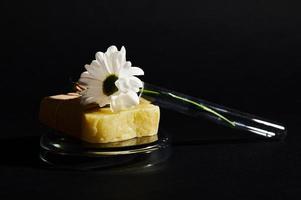 todavía vida con natural orgánico jabón bar en petri plato y manzanilla flor dentro un prueba tubo, aislado negro fondo foto