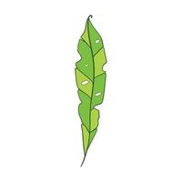 Green sprig of rosemary cartoon style, isolated vector icon. Graphic element for packaging, logo, for rosemary products.