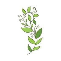 Green sprig of rosemary cartoon style, isolated vector icon. Graphic element for packaging, logo, for rosemary products.