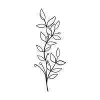 Digital illustration of a cute black outline doodle spring theme frame twig with leaves in scandinavian style. Print for clothes, poster, banner, postcard, web design, coloring. vector