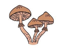 honey mushrooms. Illustration for printing, backgrounds, covers and packaging. Image can be used for greeting cards, posters, stickers and textile. Isolated on white background. vector