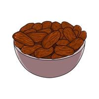 Dates for Iftar Party. Vector illustration of dried dates Ramadan Iftar food on the bowl. Isolated on white background