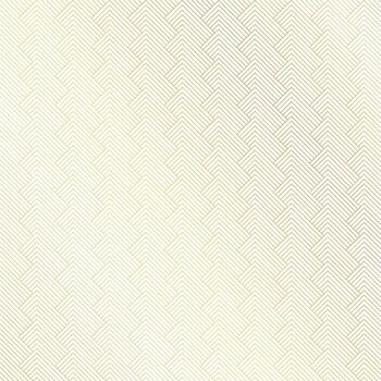seamless geometric pattern background with abstract diagonal lines vector