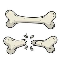 Bone fracture. Trauma to the body. Crack and splinters. Dangerous situation and wound. Cartoon flat illustration and dog toy isolated on white background vector