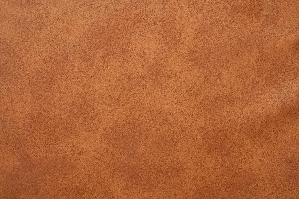 Tan Leather Stock Photos, Images and Backgrounds for Free Download