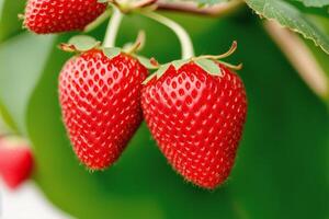 delicious strawberry in a bowl on a white background, close-up. Healthy food concept. photo