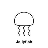 Jellyfish vector icon illustration