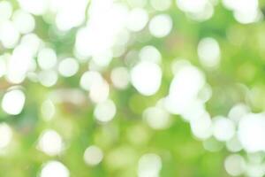 natural green bokeh abstract background,blurred textured photo